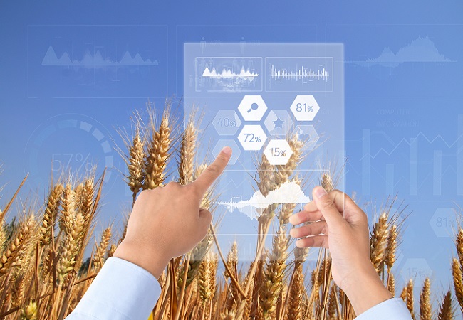 河南滑縣：智慧農業(yè)助力增產(chǎn)穩(wěn)產(chǎn)